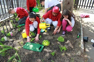 berrymede school playground scheme
