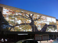 tree