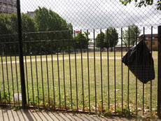 Berrymede Primary School, Acton