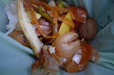 food waste