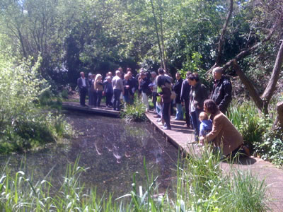 Gunnersbury Triangle