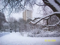 Acton Landscape in the snow