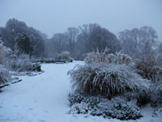 Acton Park in the Snow 2010