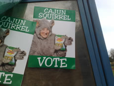 Squirrel posters