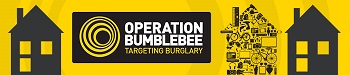 Operation Bumblebee