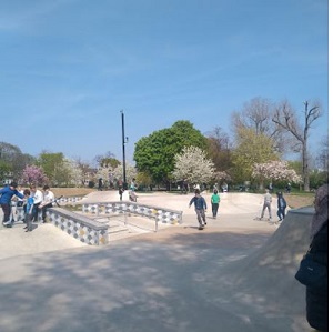 acton park