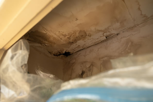 Water damage and mould inside Mulki's home