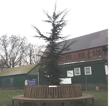 new location for bench