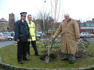 Clean Up Tree Planting