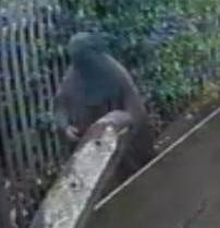 http://www.met.police.uk/pressbureau/Bur03/Terror37-13CCTV2.jpg